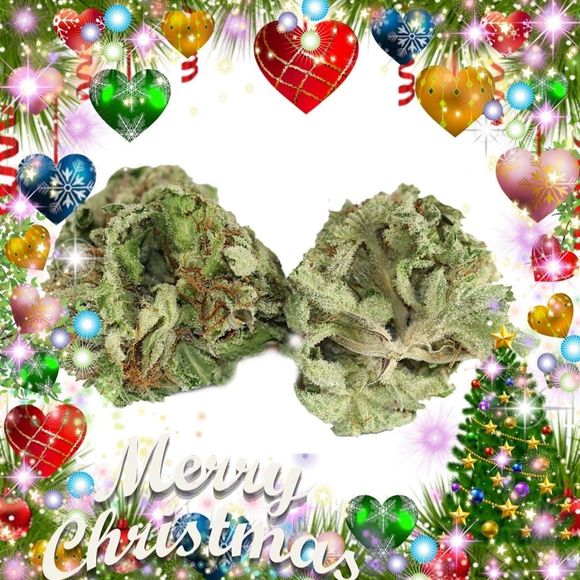 Meet your Posher, Melissa - Picture 1 of 1